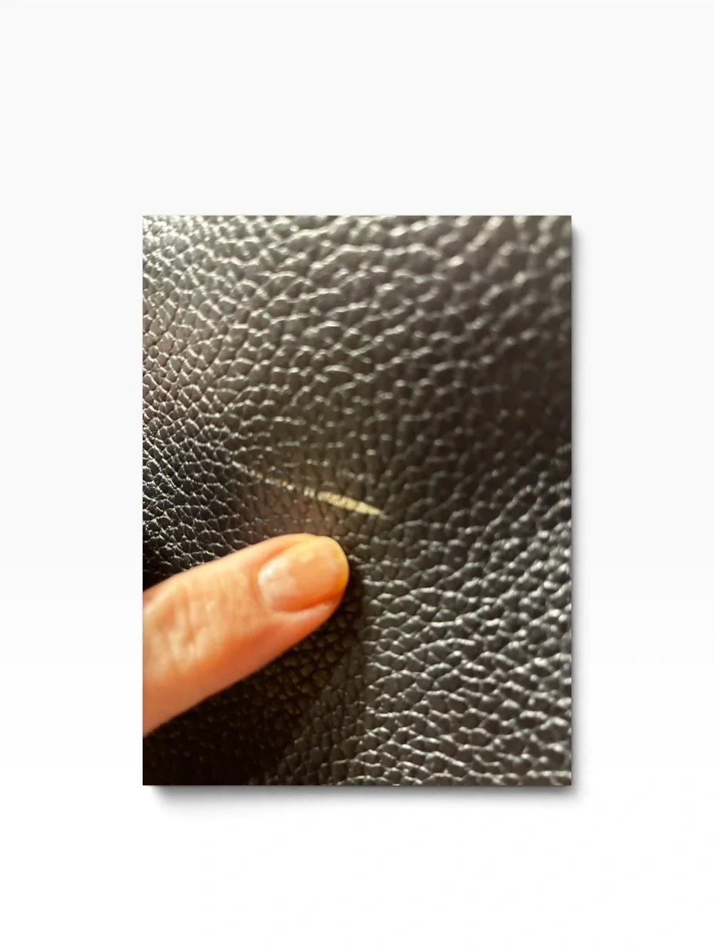 Freshly Picked zip exterior pebbled